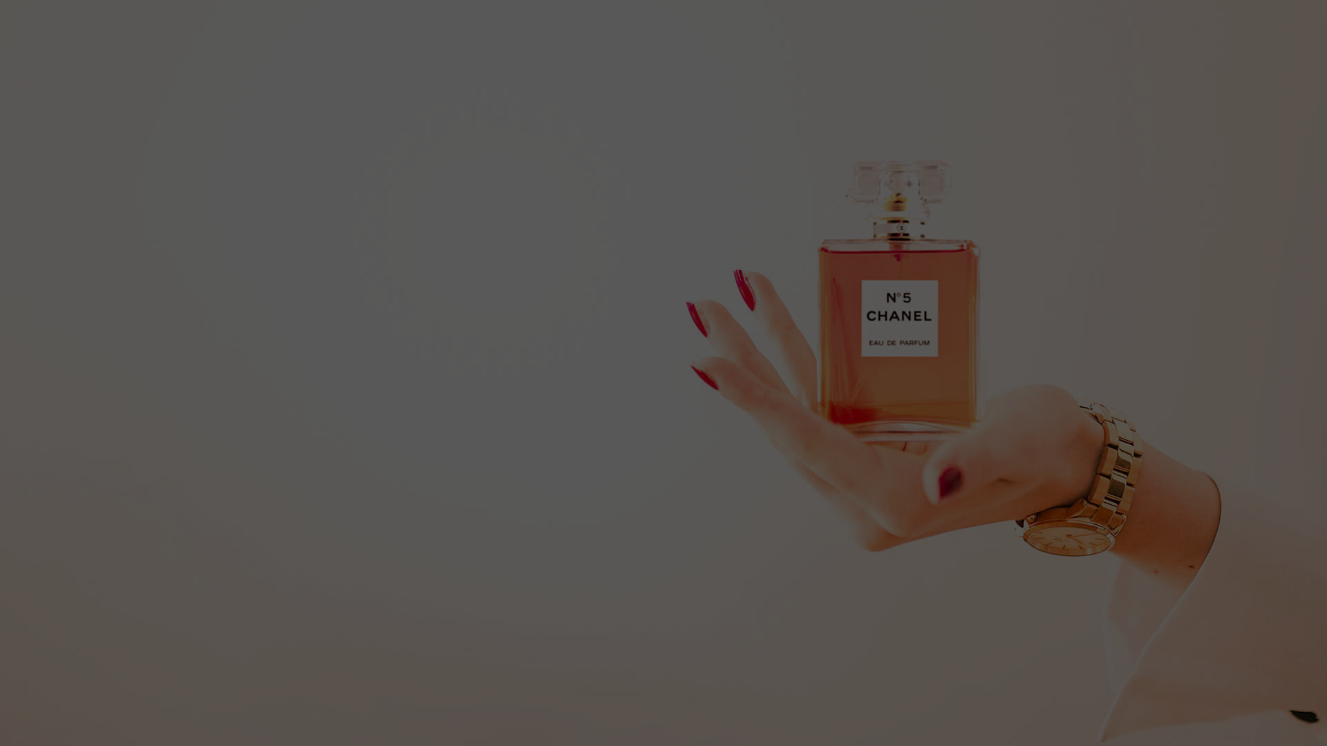 Premium Jewelry Collection